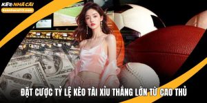 Tỷ lệ kèo tài xỉu